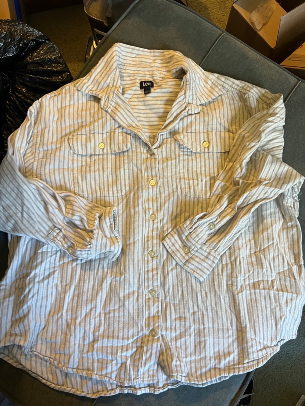 Lee Blue and White Striped 
Button-Up Shirt